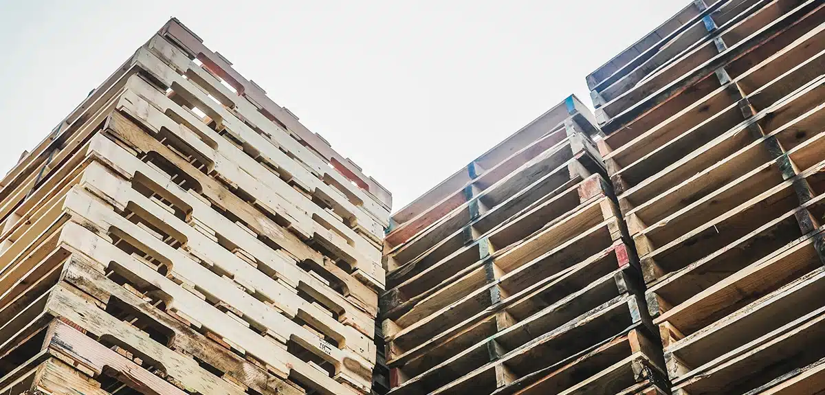 Pallets Receive Press Exposure!