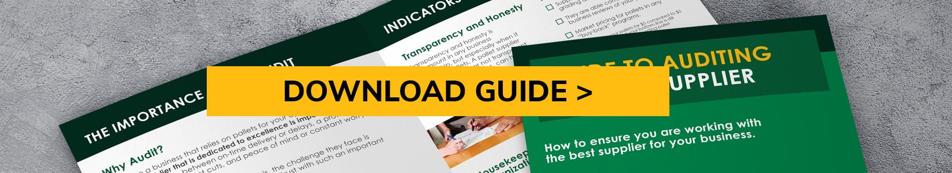 sample of pallet auditing guide with download guide button