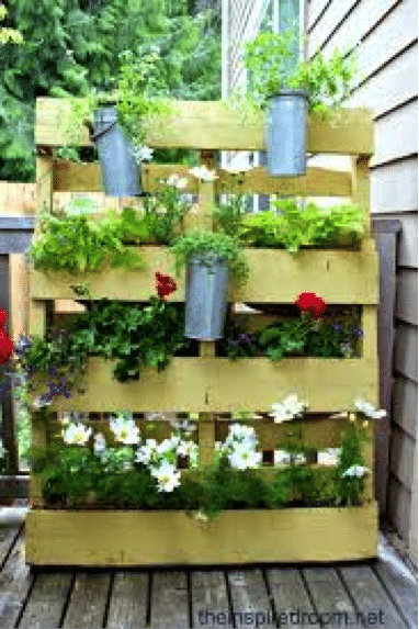 Pallet Garden