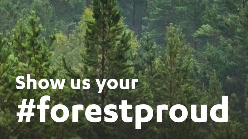 forestproud