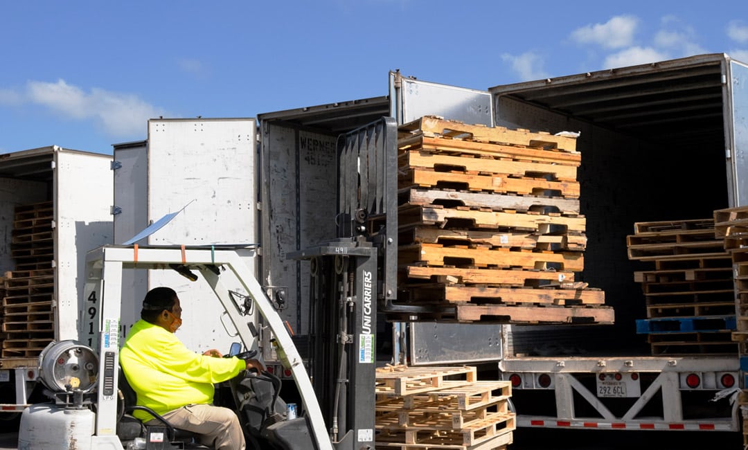 We Buy and Sell Pallets in Orlando, FL Kamps Pallets