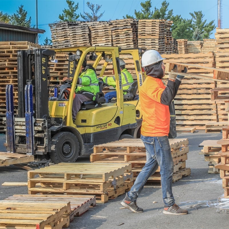 Kamps Pallets Locations Job Openings