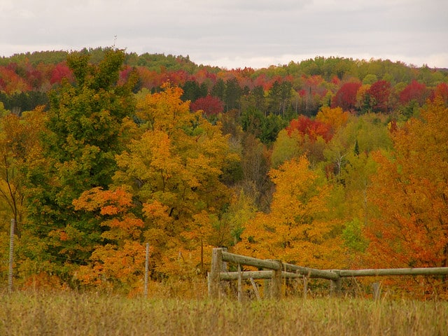Michigan Lumber Creates Manufacturing Jobs