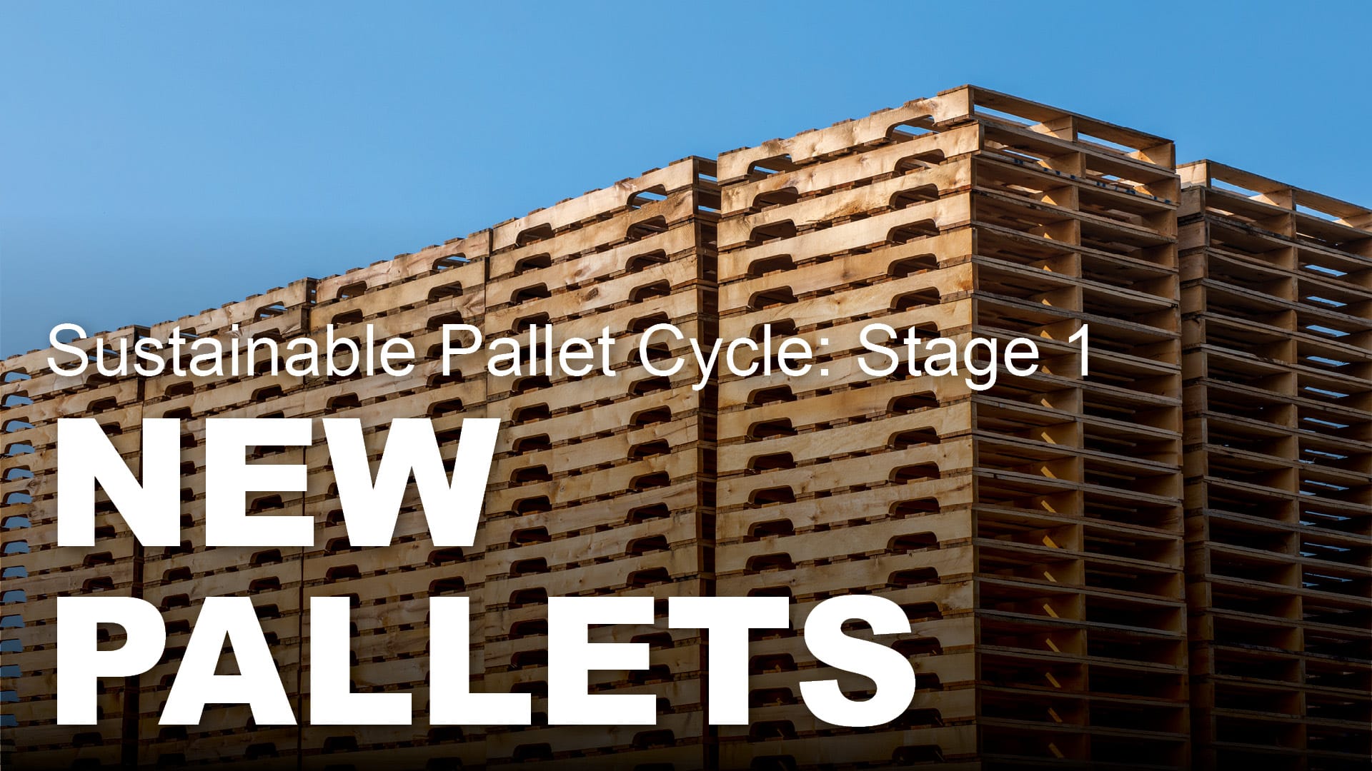 Stage 1: New Pallets | Sustainable Pallet Cycle | #KampsEarthWeek