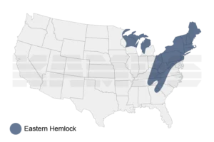 Map of United States with a region highlighted showing where Eastern Hemlock trees grow natively.
