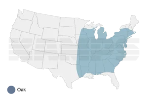 Map of United States with a region highlighted showing where Oak trees grow natively.