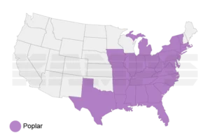 Map of United States with a region highlighted showing where Poplar trees grow natively.