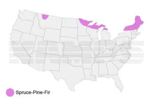 Map of United States with a region highlighted showing where Spruce-Pine-Fir trees grow natively.
