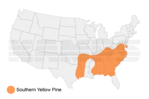 Map of United States with a region highlighted showing where Southern Yellow Pine trees grow natively.