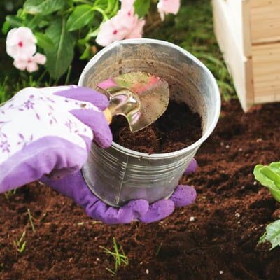 woman wearing purple gloves putting potting mix into gardening pot
